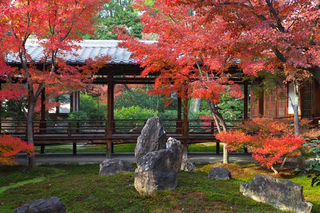 写真：建仁寺