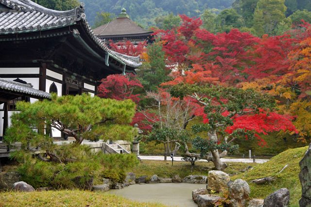 写真：高台寺